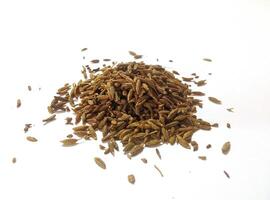 Pile of cumin seeds isolated on white background photo