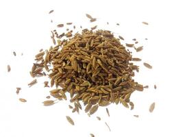 Pile of cumin seeds isolated on white background photo
