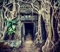 Ancient stone door and tree roots, Ta Prohm temple, Angkor photo
