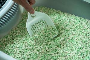 Someone scooping tofu cat litter in sand box. photo
