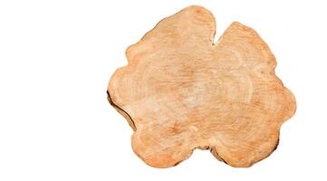 Cut-out image of a cross-section of a log on a white background with clipping paths. photo