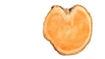 Cut-out image of a cross-section of a log on a white background with clipping paths. photo