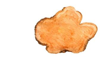 Cut-out image of a cross-section of a log on a white background with clipping paths. photo