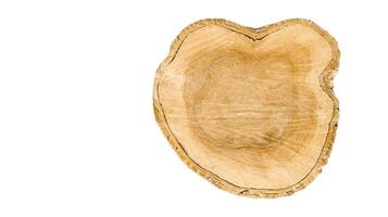 Cut-out image of a cross-section of a log on a white background with clipping paths. photo