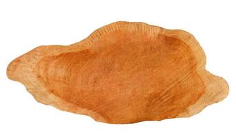 Cut-out image of a cross-section of a log on a white background with clipping paths. photo