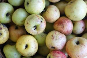 High quality image of assorted apples in basket. Close up view of ripe freshy picked fruits, ideal for healthy eating, nutrition related content, food blogs and advertisements. Top view photo