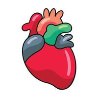 Cartoon Red Heart Anatomy Illustration vector