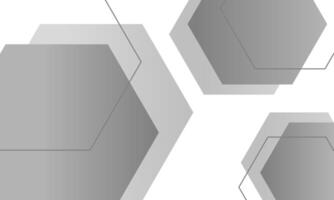 abstract white gray hexagon background vector