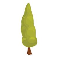 Green cypress tree growing upwards with lush crown and brown trunk vector