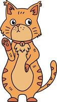 A cat with a collar is sitting on the ground vector