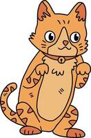 A cat with a collar is sitting on the ground vector