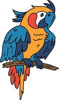 A colorful parrot is perched on a branch vector