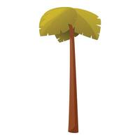 Tall green palm tree standing alone isolated on white background vector