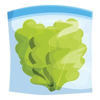 Fresh green lettuce salad leaves preserving freshness in vacuum pack vector
