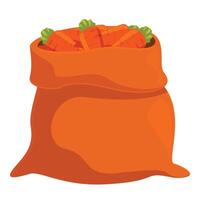 Full burlap sack overflowing with fresh carrots vector