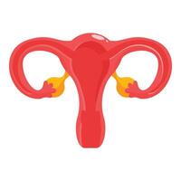 Illustration showing the organs of the female reproductive system vector