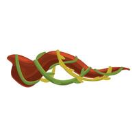 Liana branch weaving around tree trunk in jungle vector