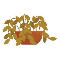 Withered houseplant in need of water sitting in pot vector