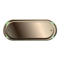 Oval button with metallic gradient is reflecting light vector