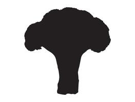 Broccoli silhouette on white background vector