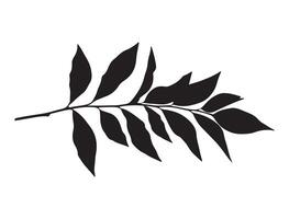 Branch with leaves silhouette vector