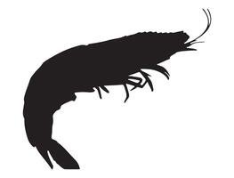 Shrimp silhouette on white background vector