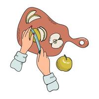 Home canning. Hands slicing apples with knife on cutting board. Step is to prepare whatever produce is going to be canned. Cooking food process. Hand drawn illustration. vector