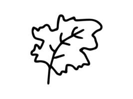 Black outline of a leaf isolated on a white background. Concept of nature, plants, minimalist style, autumn art, seasonal theme. Perfect Design element. Coloring book. vector