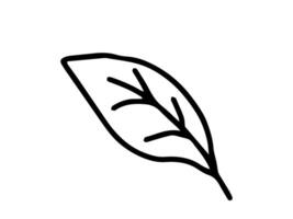 Simple hand-drawn illustration of a leaf in a black and white outline, drawn in a minimalist style. Concept of nature, botany, environment, and plant life. Icon, illustration, design element. vector