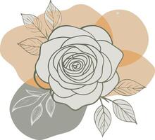 rose line art illustration with color blobs style vector