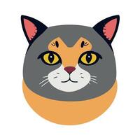 little cute cat on white background - solid color vector
