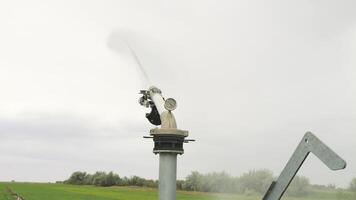 Field Crop Irrigation System in a wheat field video