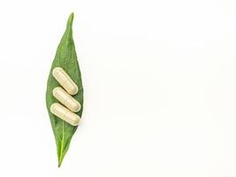 Close-up of three Andrographis paniculata capsules placed on green leaves isolated on white background. Space for text. Herbal, medicine, and healthcare concept photo