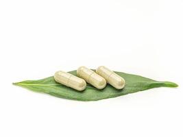 Close-up of three Andrographis paniculata capsules placed on green leaves isolated on white background. Space for text. Herbal, medicine, and healthcare concept photo