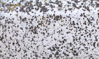 Abstract natural rock stone granite grunge rusty metal texture design background natural color stone material granite design wallpaper. Close-up detail of natural stone photo