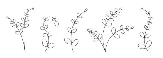 Minimalist Line Art of Curved Botanical Stems vector