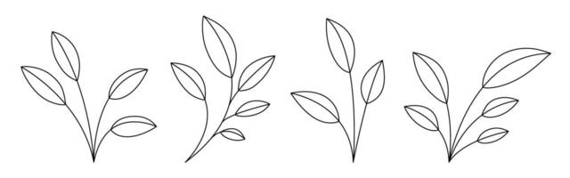 Simple Line Art Illustrations of Leafy Stems vector