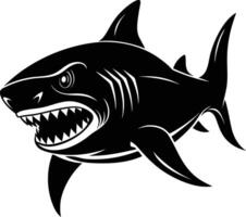 shark illustration Design vector