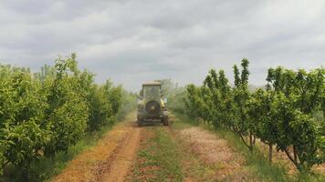 Tractor Spraying garden trees with fertilizers video