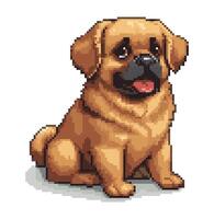 Pug dog pixel art. Mops breed cute puppy, 8 bit pixel style. game retro pixelated dog funny cartoon mascot, friendly dog avatar. Playful meme character. Isolated illustration vector