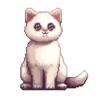 Cat pixel art. Kitten cute white kitty pet, 8 bit pixel style. game retro pixelated happy cat funny cartoon mascot avatar. Playful meme character. Isolated illustration vector