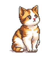 Cat pixel art. Kitten cute ginger pet, 8 bit pixel style. game retro pixelated red cat cartoon mascot, funny avatar. Playful meme character. Isolated illustration vector
