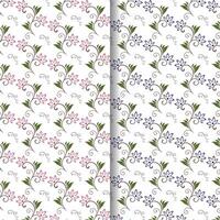 floral seamless pattern blooming sakura on white background hand drawn botanical vector