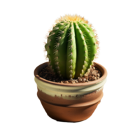 A tiny cactus with a brown pot png