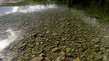 View of a clear lake where the bottom is visible with stone pebbles video