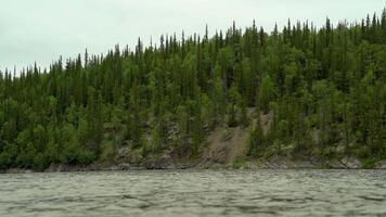 Close-up of the river flow against the background of large green trees video