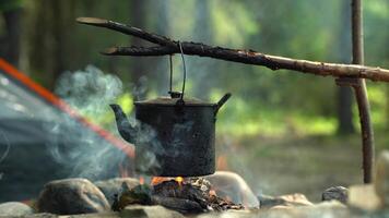 A tourist kettle boils on an open fire against the backdrop of a forest video