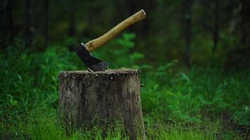 An axe is stuck into a stump against the background of a green forest video