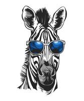 A zebra wearing blue sunglasses with a confident expression vector