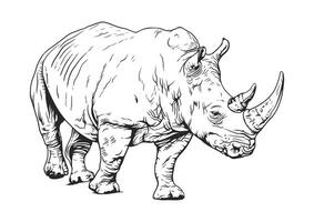 Detailed black and white illustration of a rhinoceros, featuring two prominent horns on its snout, set against a white background vector